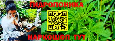 гидра Ливны