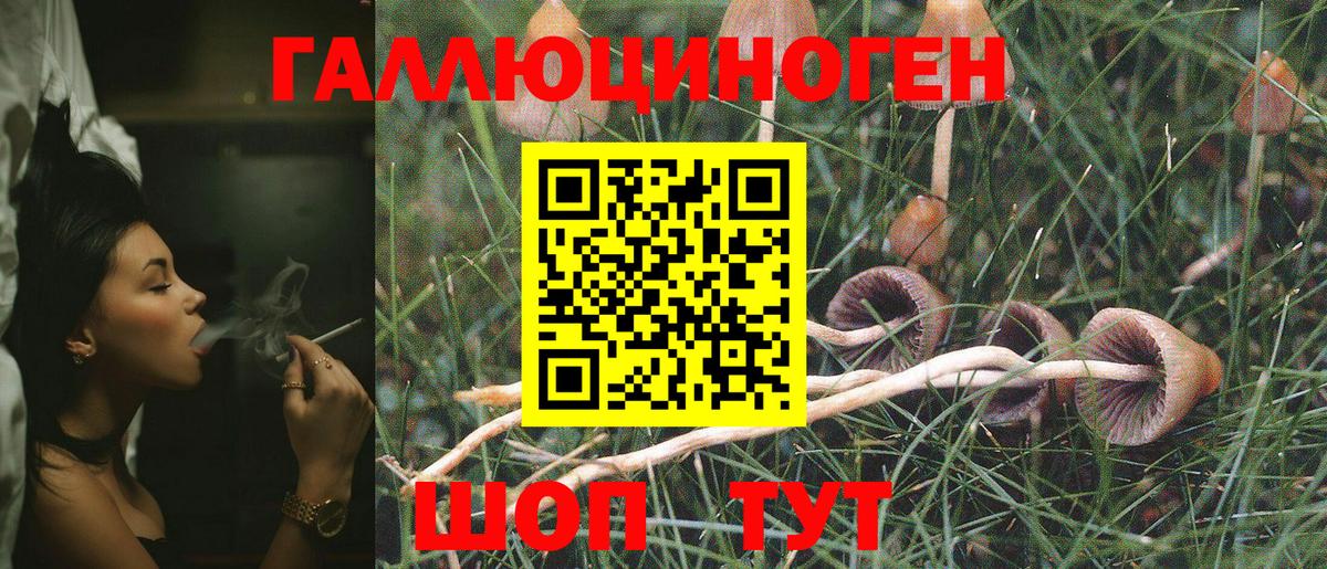 Псилоцибиновые грибы прущие грибы Калуга